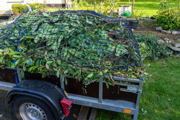 Best Carpet Removal and Disposal  in Galesburg, MI